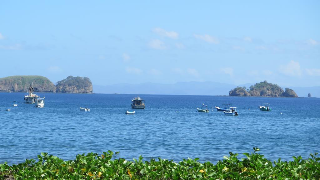 Hotel Coco Palms Playas del Coco Εξωτερικό φωτογραφία