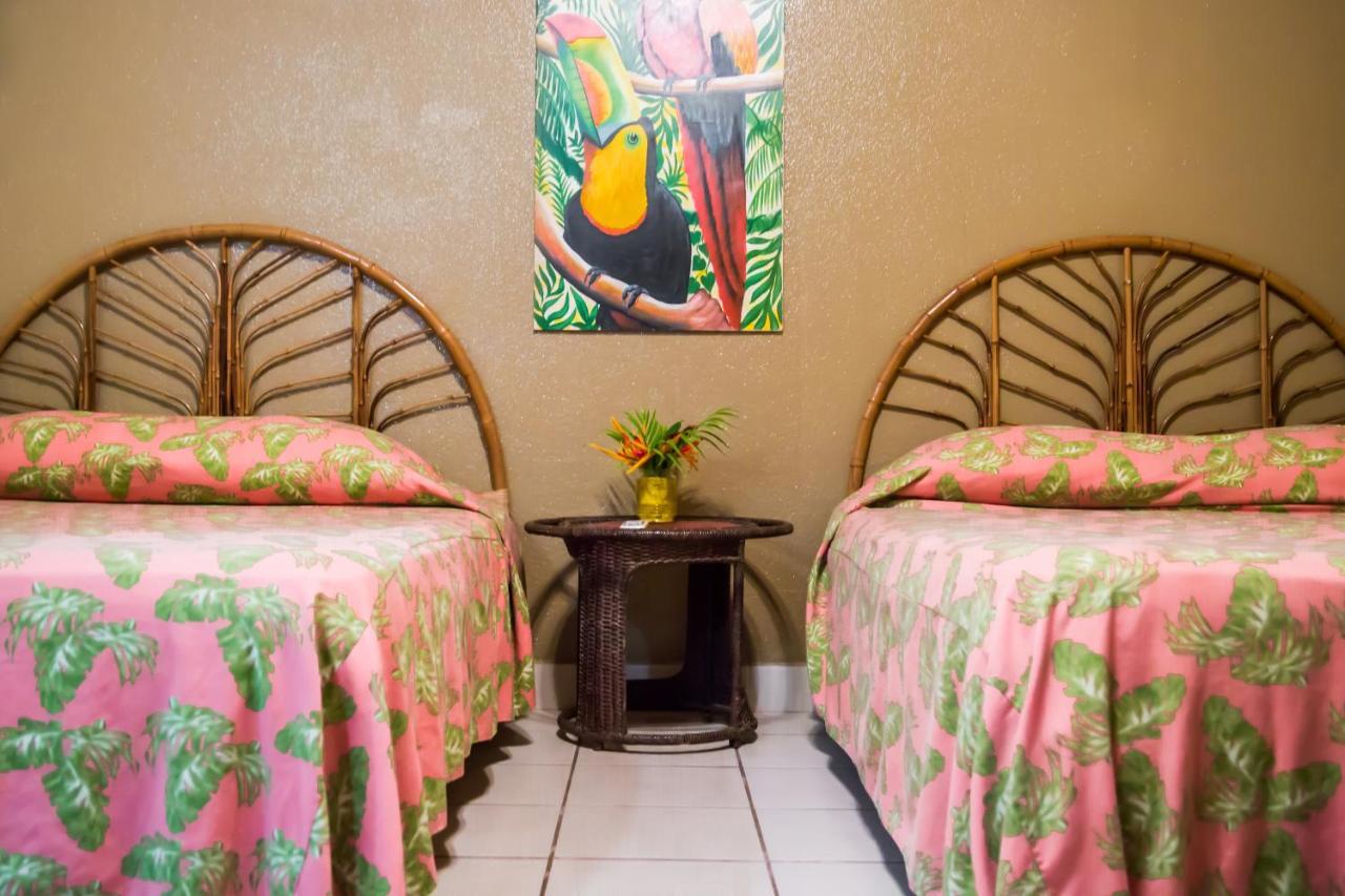 Hotel Coco Palms Playas del Coco Εξωτερικό φωτογραφία